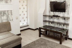 Transitional Havryky Apartment